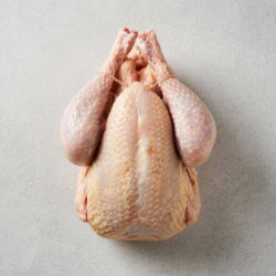 Poulet frais du Pays